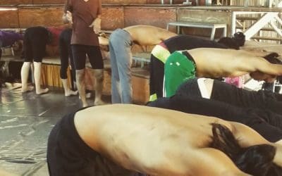 Yoga for Circus Performers