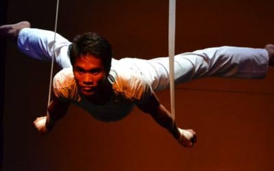 Circus revealed: Aerial Straps