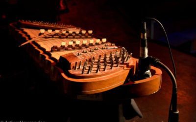 Behind the Scenes: Chills Musicians