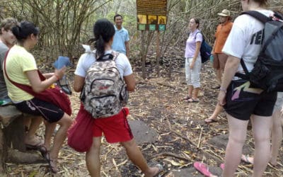 3 Tips for Sustainable Travel in Siem Reap