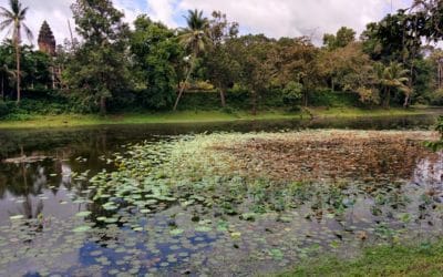 When is the best time to visit Cambodia?