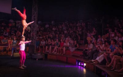 Round-up on the road – Phare on Tour in the US